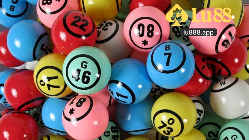 Đề 4 Càng Là Gì